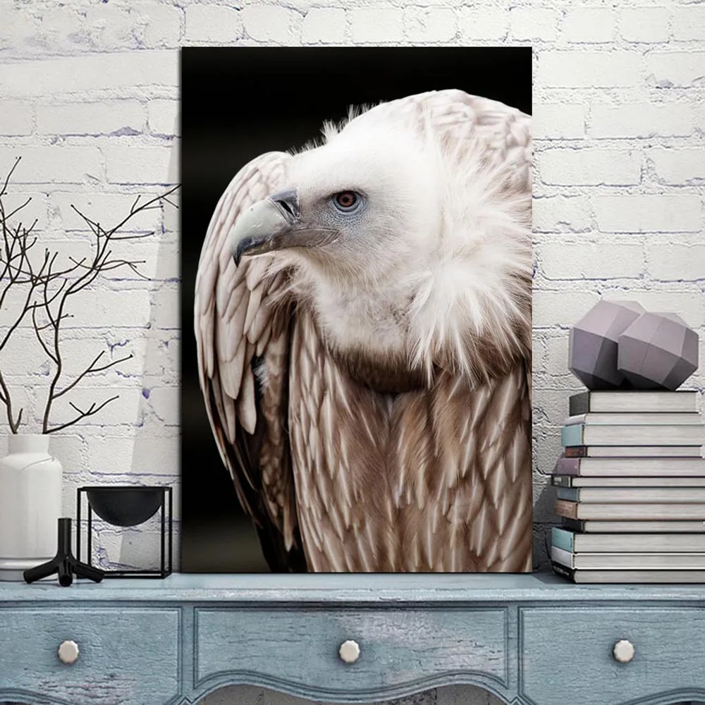 Wall Art Print and Poster Canvas Painting Modern Pictures Home Decoration Nordic and WhiteBlack Vulture Portrait