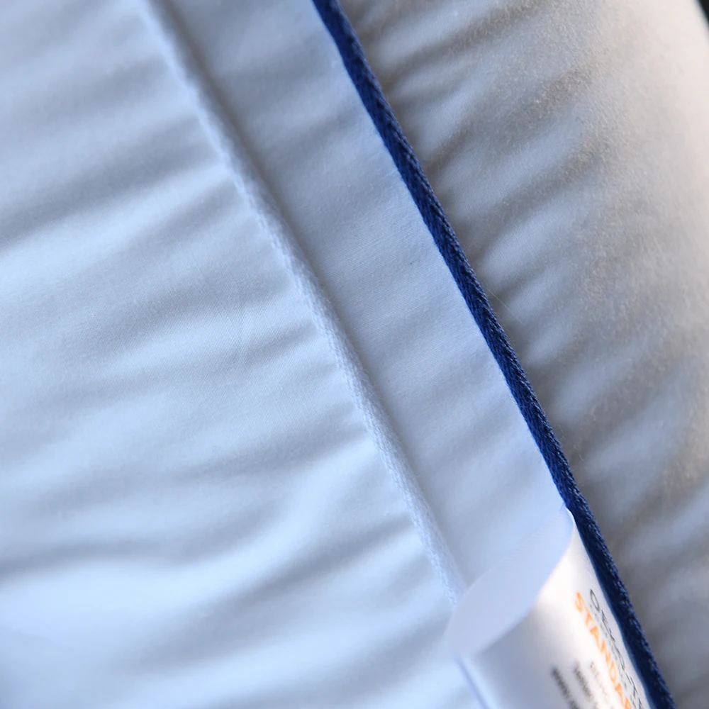 100% White Goose Down Cushion Natural Down  Throw Pillow Core Headrest Hotel Choiceness Of Sofa Pillows Can Be Customized