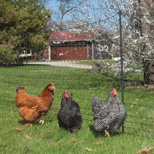 Robustes Anti-Vogel-Netz für den Garten, Hirsch, Zaunnetz, Gartennetz und Pflanzen, schützendes Zaunnetz für Anti-Vogel-Hirsch, Katzen und Hunde – Detail 17