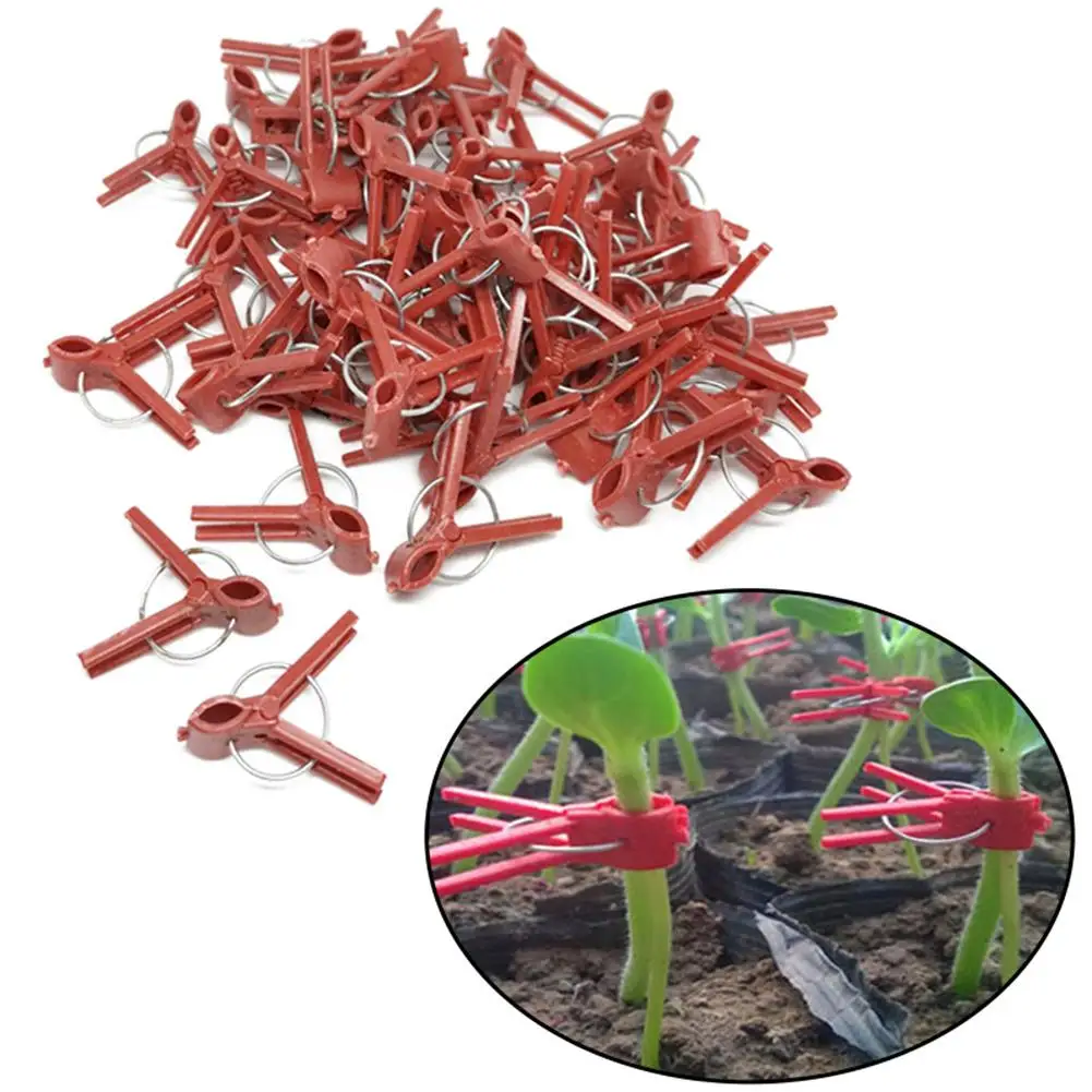 50PCS Plants Graft Clips Plastic Fixing Fastening Garden Tools For Cucumber Eggplant Watermelon Flat Mouth/round Mouth Clip