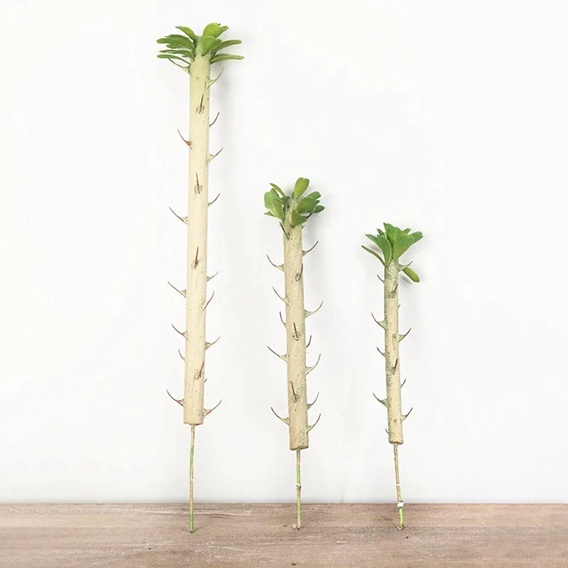 50cm Artificial Cylindrical Cactus Plants Tropical Plastic Rare Branch Art Crafts Modeling Props Hotel Office Balcony Home Decor