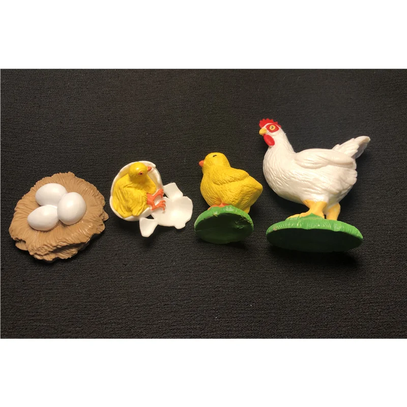 Montessori Educational Toy Life Cycle of Chick Figures Cards Tray Board Biology Materials Early Learning Toys for Children