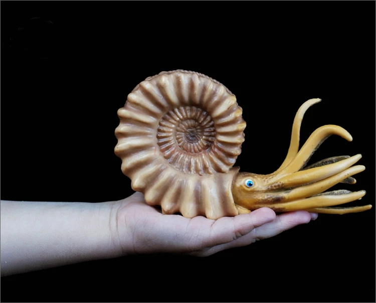 Nautilus Conch Simulation Aquarium Animal Model Toy Underwater World Plastic Solid Child Cognitive Gift 2021