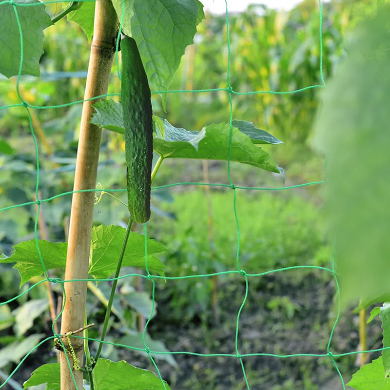 Home Gardening Plants Support Trellis Netting Plant Support Net Durable For Climbing Plants Garden Accessories