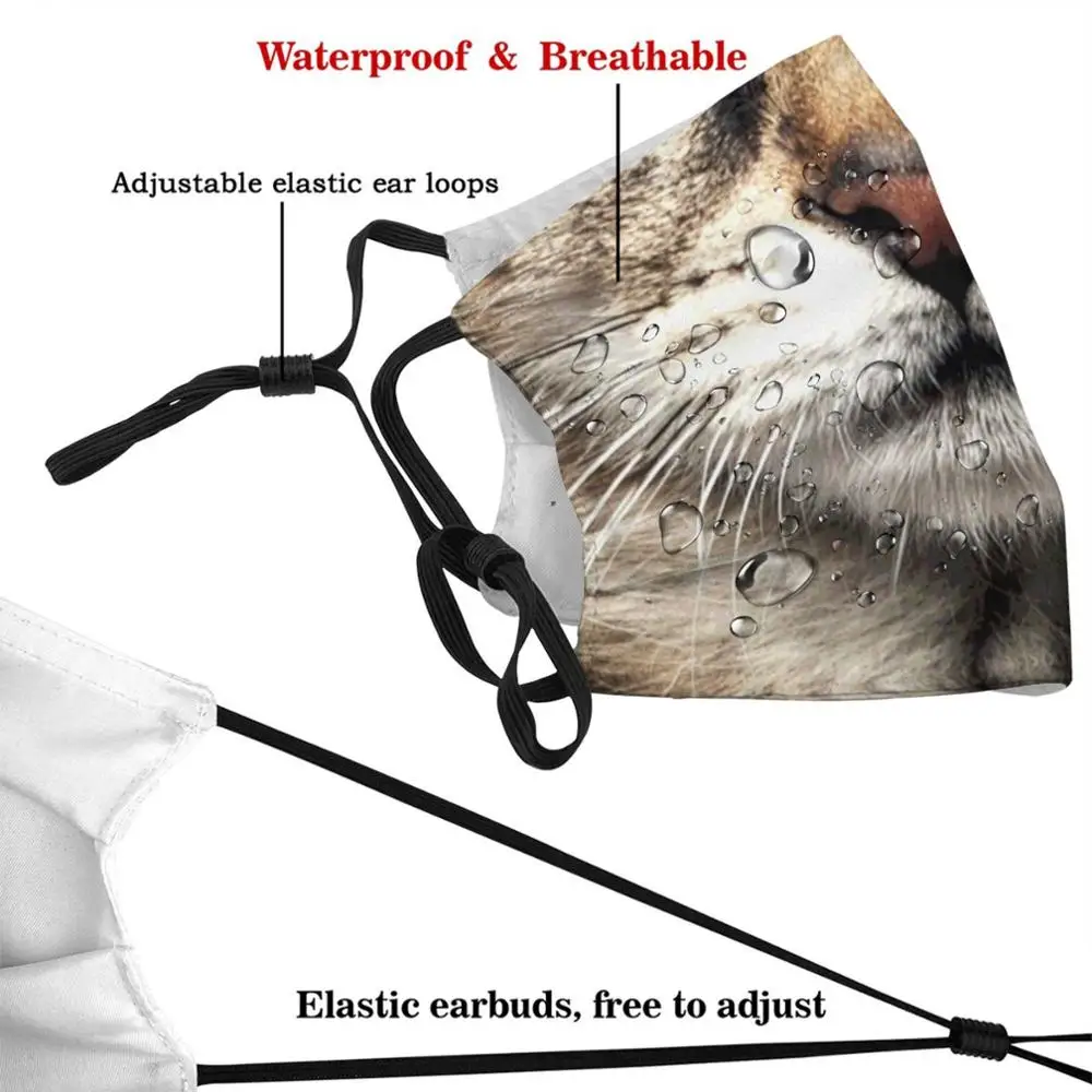 Masque filtrant pour chat, lavable, tendance, personnalisé, Pm2.5, amusant, chat, chat, Bandana amusant, 19