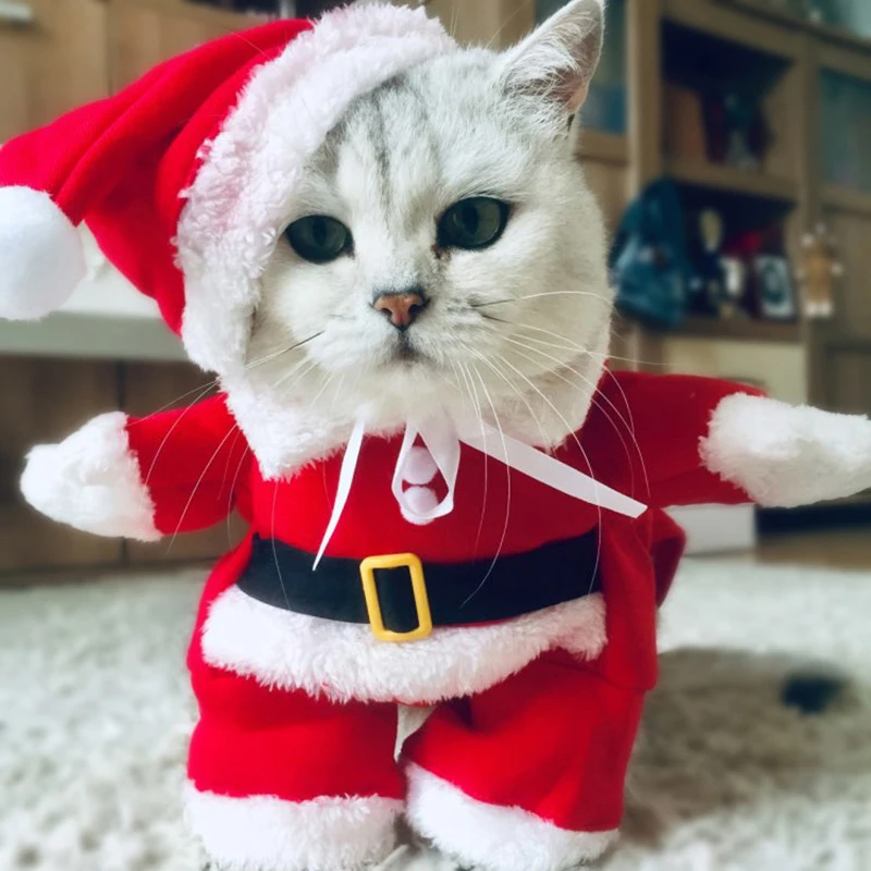 Зимние рождественские костюмы для домашних кошек, забавная Одежда для маленьких кошек, собак, Рождественская Новогодняя одежда для кошек, наряды для котят