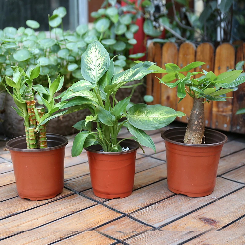 20 Pcs Two color pot disposable seedling raising pot nutrition bowl simple flowerpot plastic Nursery Pots Planting pot