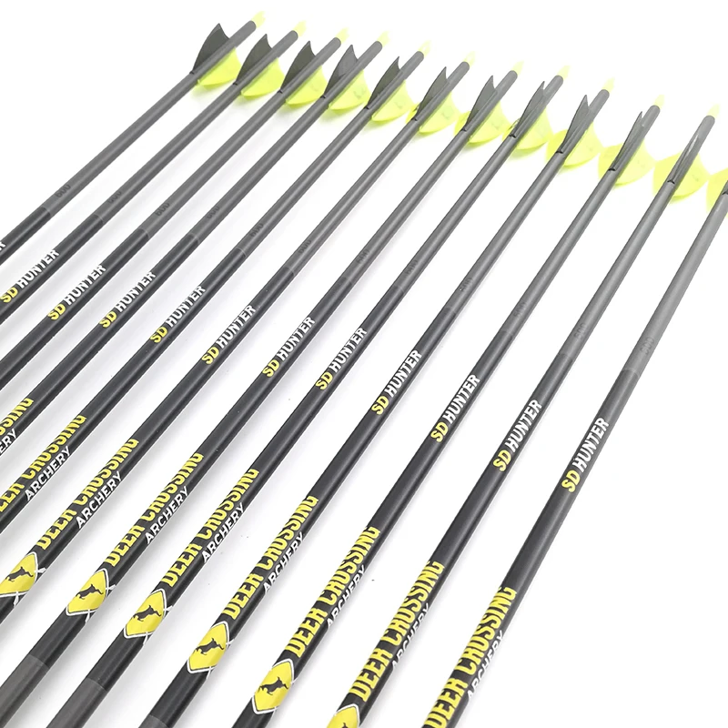 

12pcs Carbon Arrows Spine 500 600 700 800 900 ID 4.2mm Points Plastic Vanes for Recurve Bow Hunting and Shooting Archery