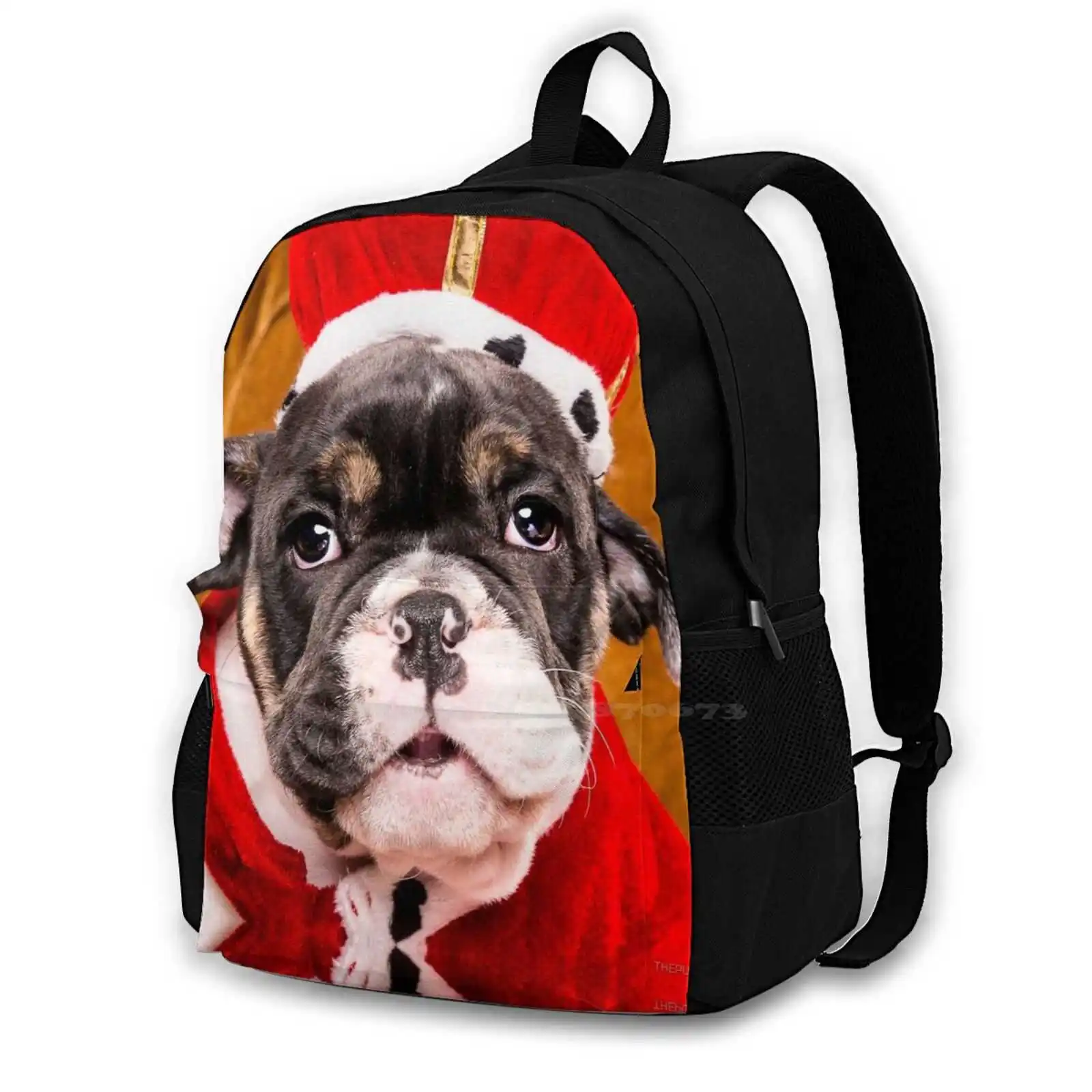 Prince Panda-The Aussie Bulldog School Bag Big Capacity Backpack Laptop Panda Prince Aussie Bulldog Puppy Cute