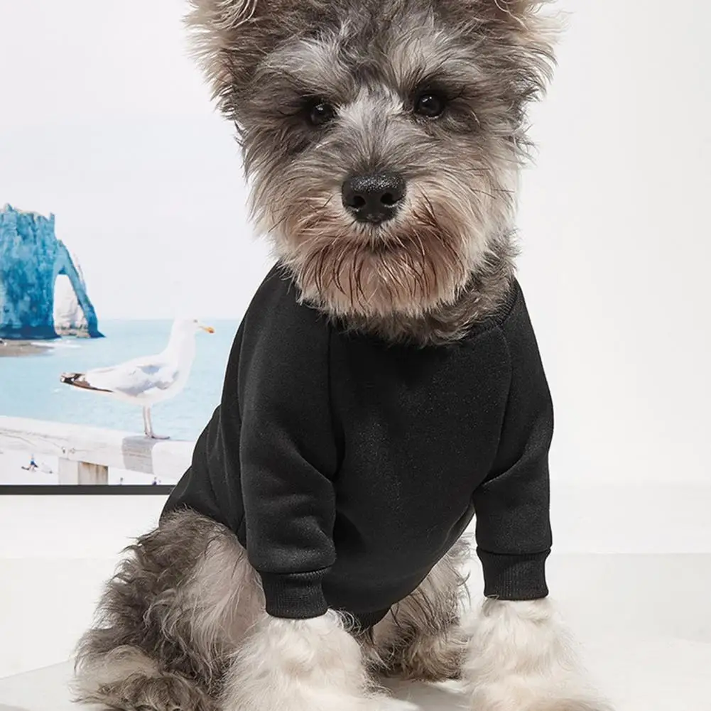 Black  Stylish Dog Warm Knitwear Coat Thinking Puppy Sweater Close-fitting   for Autumn