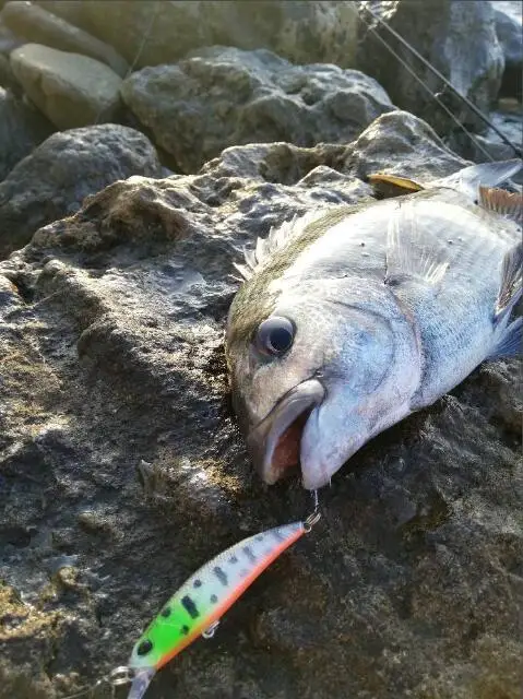 Langsam Sinking Minnow Angeln Locken 65mm 4g Künstliche Japan Harten Köder Bass Pike Wobbler Crankbait Karpfen Angeln