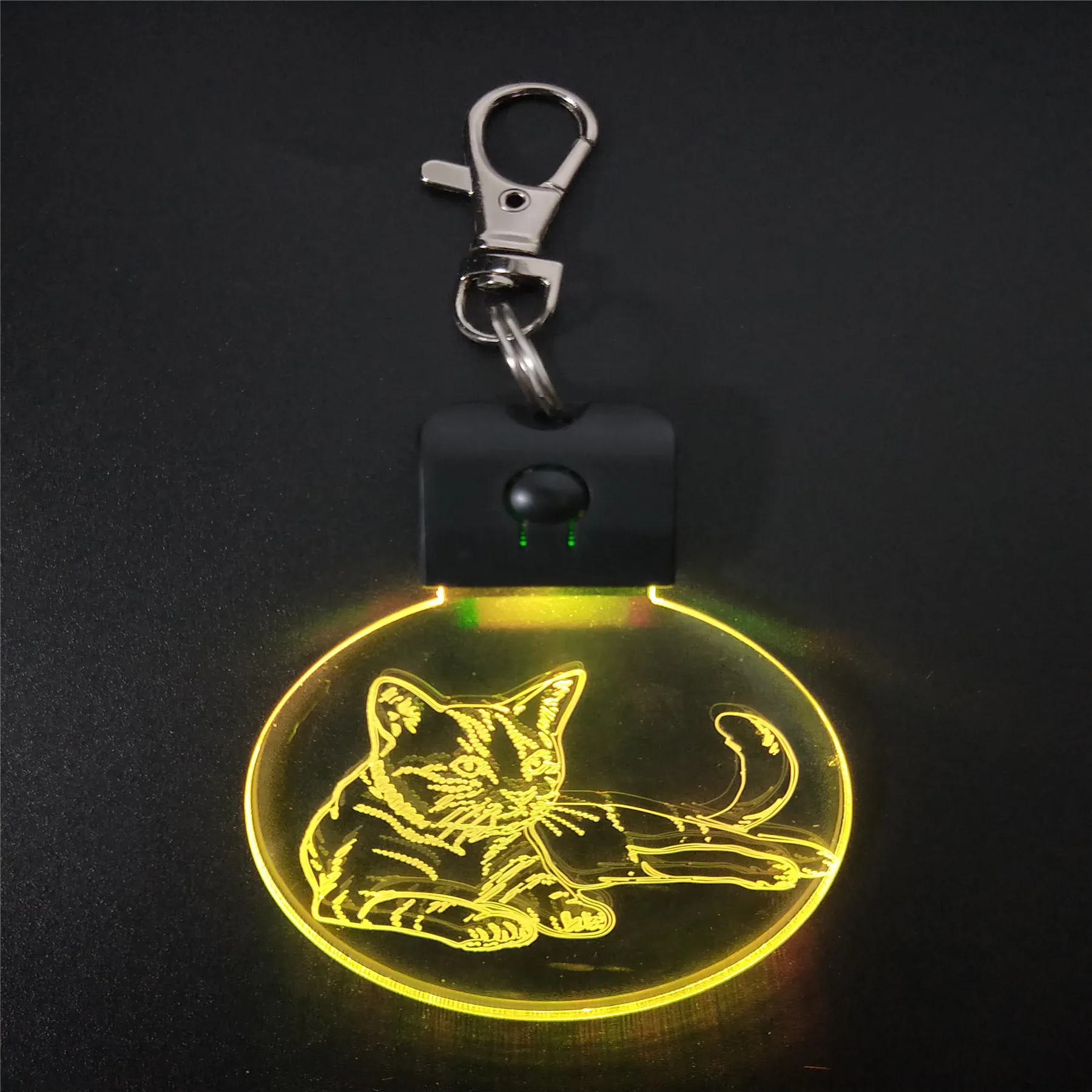 Sleeping Cat KeyChain 3D ABS Arylic Night Light LED Magical Table Lamp Lighting Colors Decoration Gift With li Battery Dropship