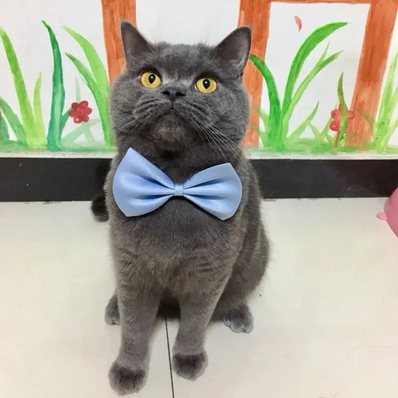 Adjustable Pet Bow Tie Collar dogs and cats 2