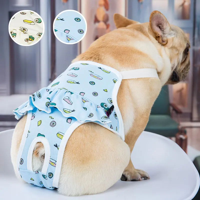 Mutande per Cani: Guida Completa per Scegliere il Miglior Modello