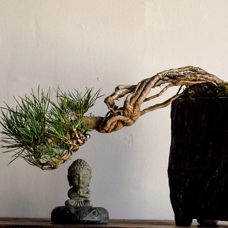 Mini Buddha-Statue aus Naturstein, handgeschnitzte Meditationsfigur, orientalische Zen-Heimdekoration, Geschenk für die spirituelle Kultur des Ostens, 8 cm – Detail 8