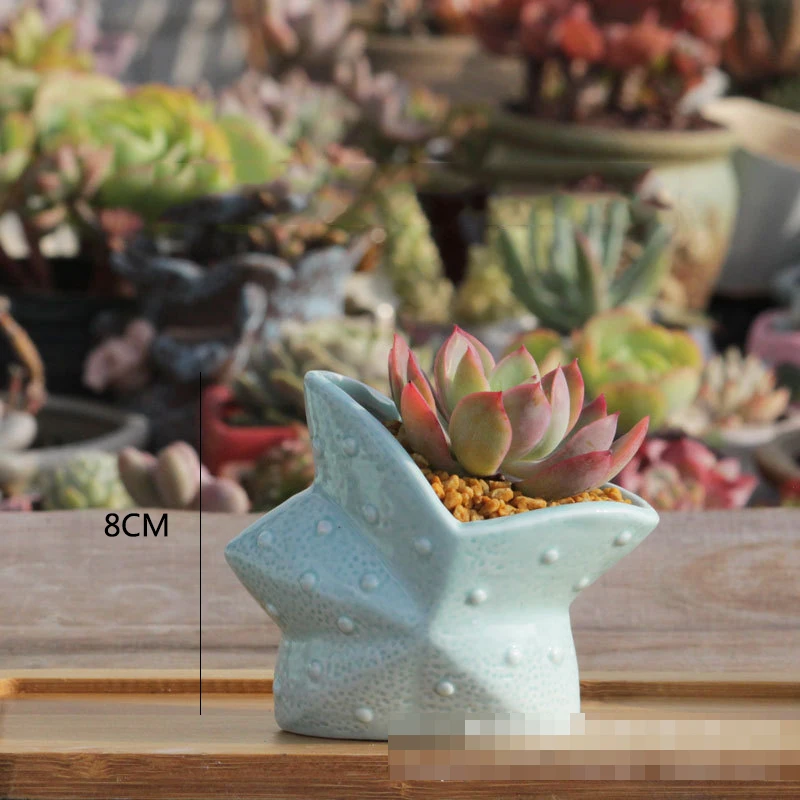 New Marine Succulent Plant Pots Stoneware Breathable Pots Flow-glazed Animal Celadon Pots Old Pile Pots Meat Flower Pots