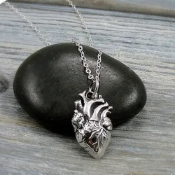 Anatomical Heart Stainless Steel Chain Anatomical Heart Charm on A Cable Chain Necklace