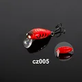 CZ005