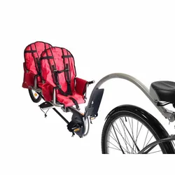 Twins Bicycle Trailer with Connector, 20 Inch Air Wheel Steel Carriage for Two Kids