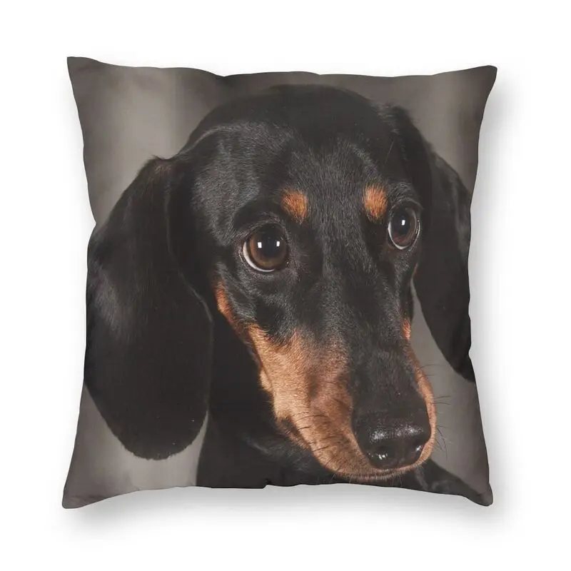 Cute Dachshund Dog Throw Pillow Case Home Decorative Square Sausage Wiener Badger Cushion Cover 40x40cm Pillowcover For Sofa