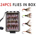 24PCS in Box