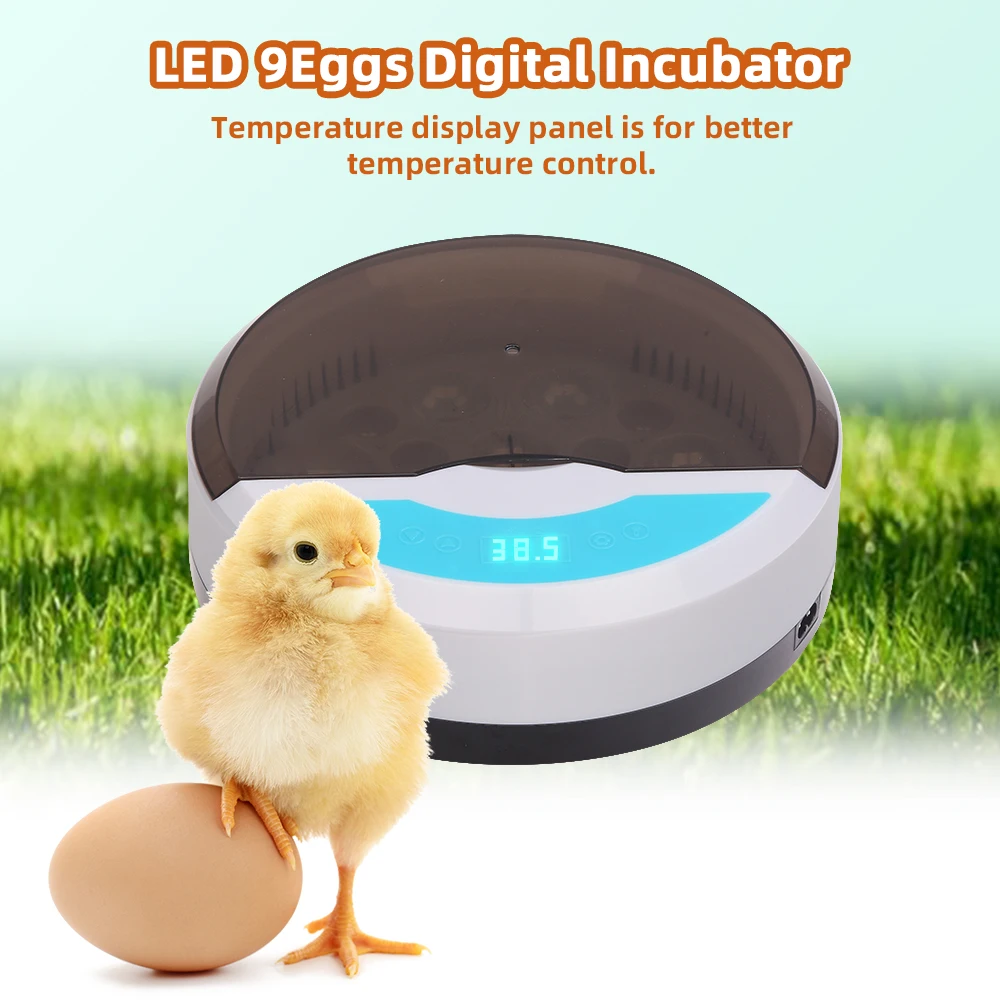 

9 Egg Automatic Poultry Incubator with LED Lights Automatic Brooder Farm Chick Hatchery Machine Digital