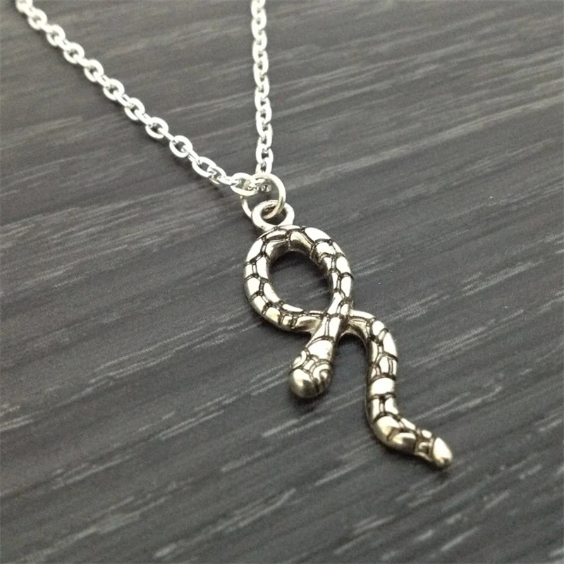 Snake Necklace, Snake Jewelry, Snake Charm Necklace, Serpent Jewelry, Reptile Necklace, Cobra Necklace Snake Lover Gift