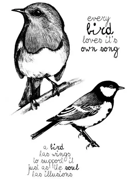 

Прозрачные печатки с птицами для скрапбукинга «сделай сам»/изготовления карт/Детские Рождественские забавные украшения A0053