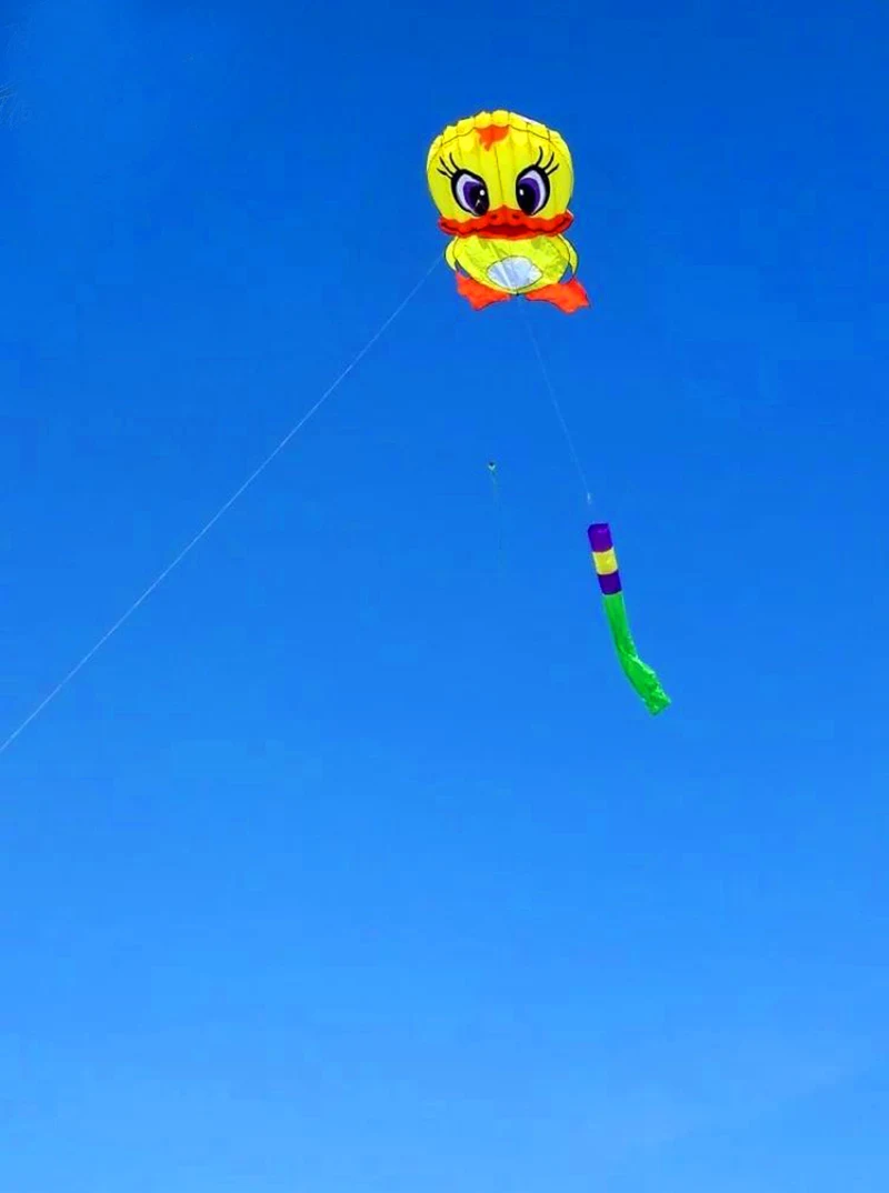 Grande pato Kite para adultos, brinquedos ao ar livre, Cometa acrobatica, Drachen Fliegen Kinder, Show Kites, 6m, frete grátis