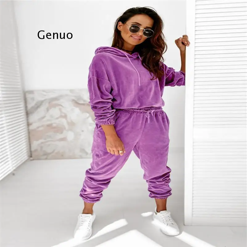 Autumn Velour Tracksuit Womens Velvet Set Woman Tracksuit Sets Winter Velvet Suit Two Piece Set Women 2 Piece Outfits