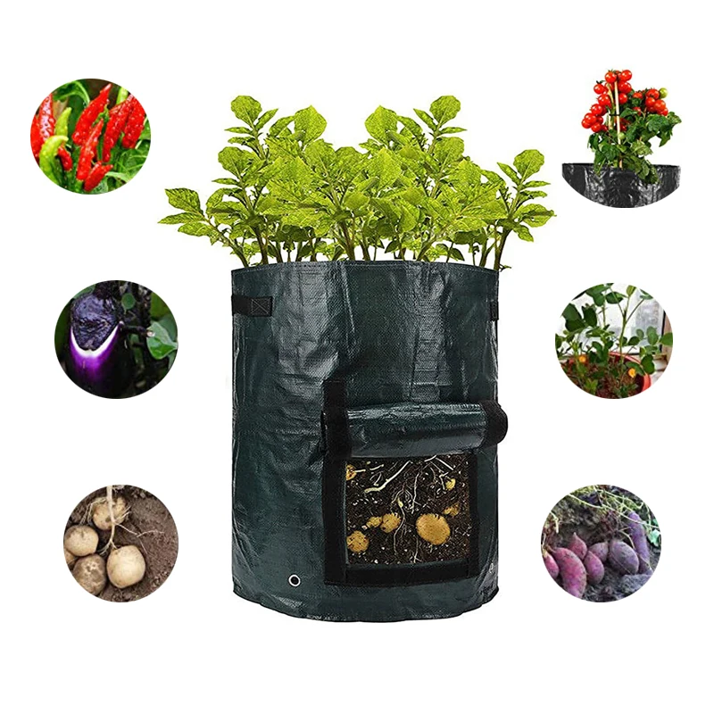 

PE Growing Bag For Potato Vegetable Onion Plant Bag With Handle Thickened Garden Carrot Taro Peanut Grow Bag