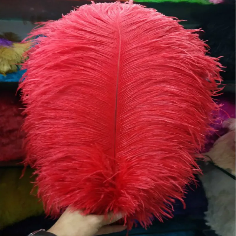 10pcs/lot Elegant red ostrich feathers plumages 55-60cm 22- 24'' feathers wedding party supplies dancer decoration