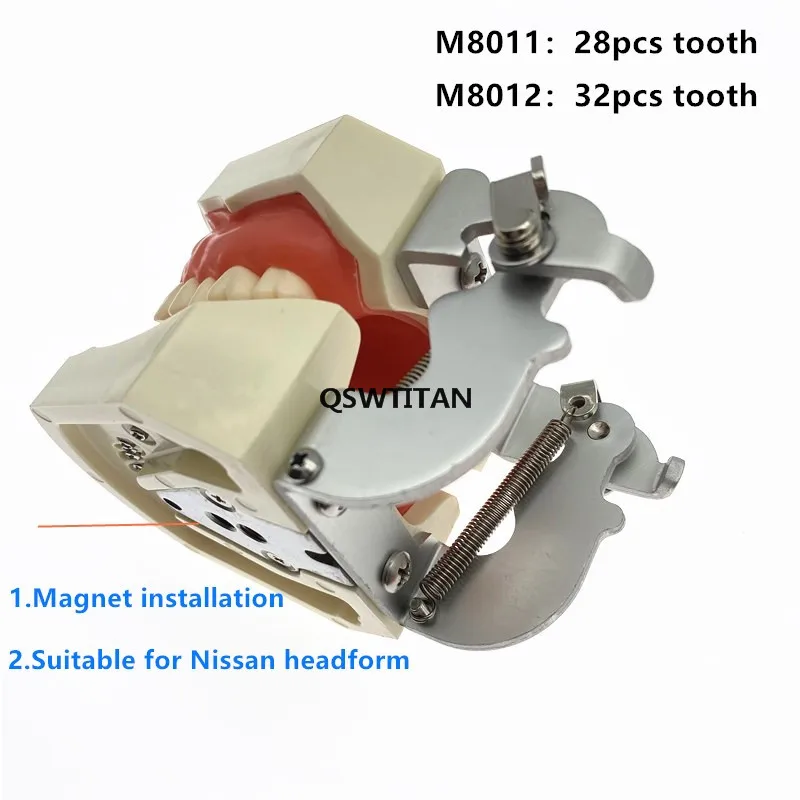 Dental Simulator Oefenpop Phantom Hoofd Typodont Model Studenten Training Model