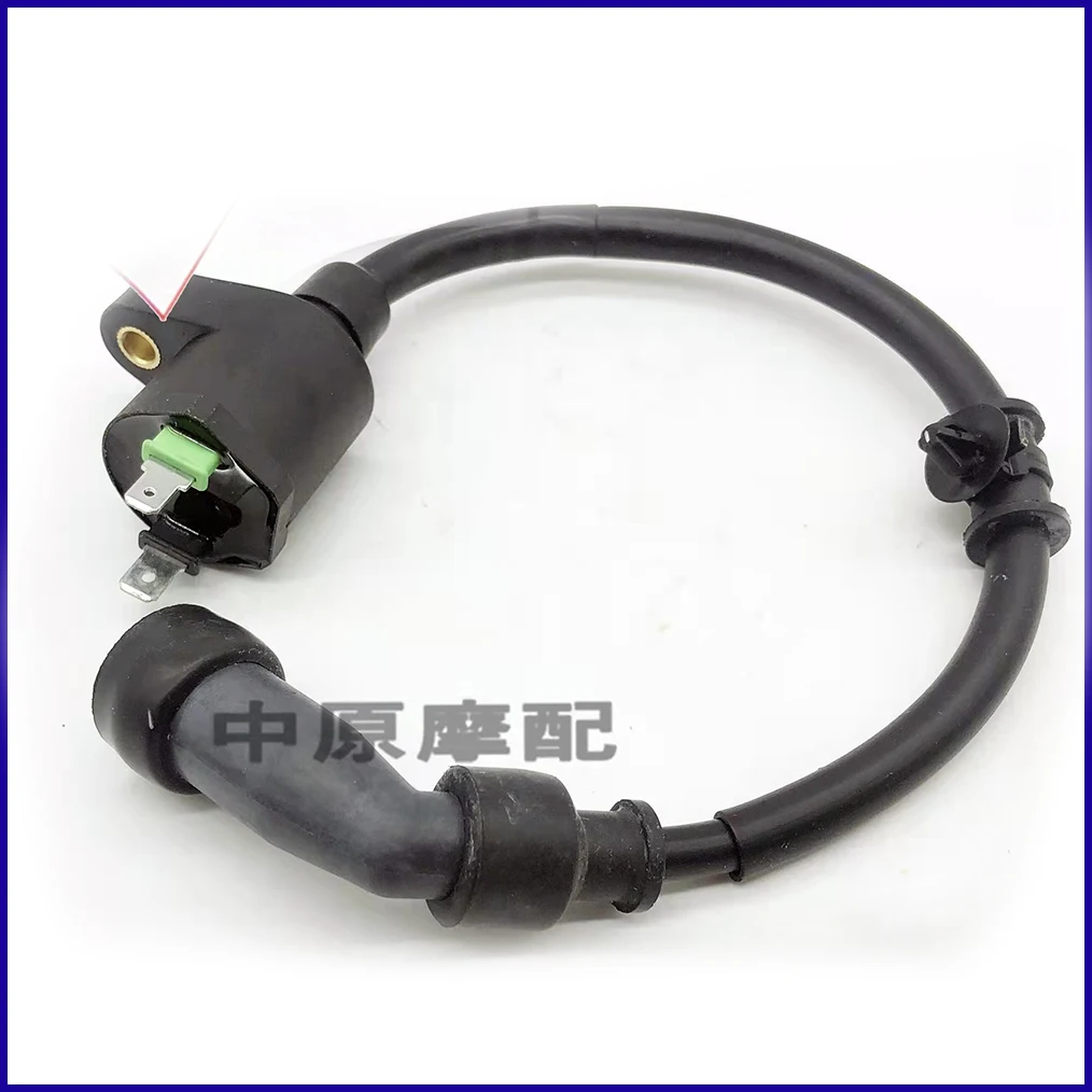 High Pressure Package Lgnition Package Lgniter Lighter Motorcycle Accessories For HAOJUE HJ 150 HJ150