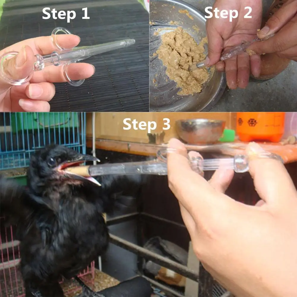 Young Birds Chick Feeding Syringe Parrot Pigeon Quail Nestling Feeder Given Medicines Feeder Animal Rearing Breeding Accessories