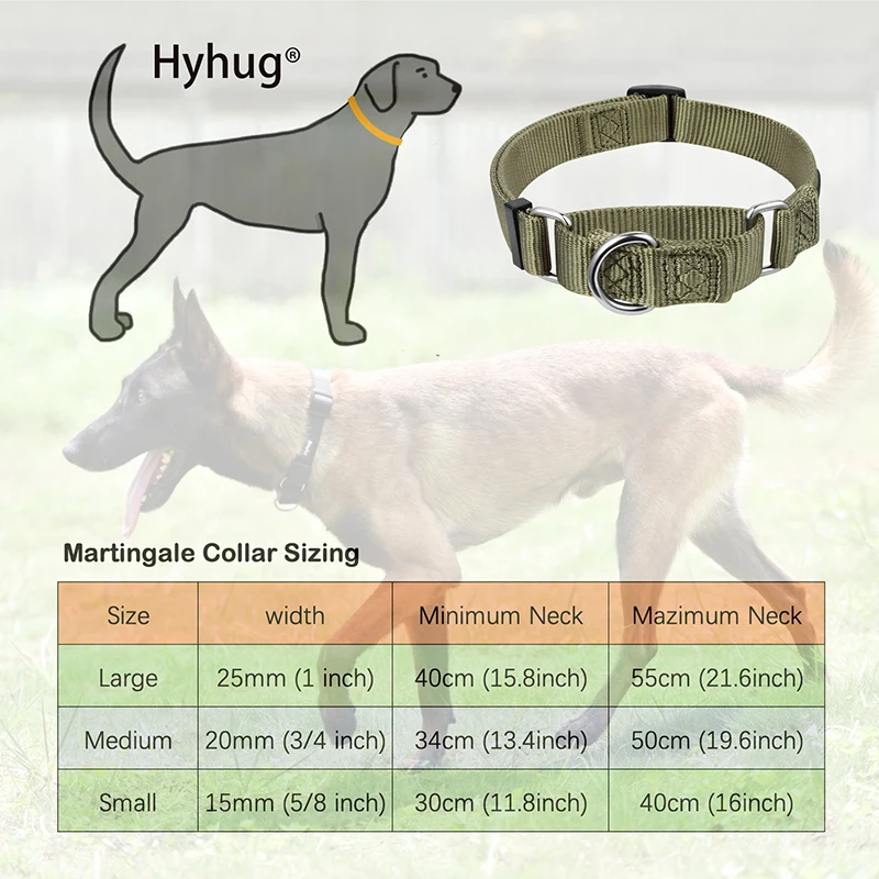 Hyhug design nylon martingale dog collar and 18  inch dog leash sets，Training, walking and short distance control dogs