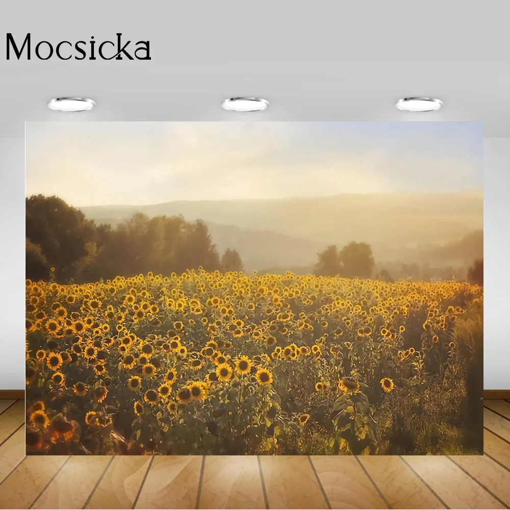 عباد الشمس المناظر الطبيعية خلفية التصوير الفوتوغرافي الربيع أشعة الشمس غروب الشمس الحلو الأطفال صورة خلفية لدعائم استوديو الصور