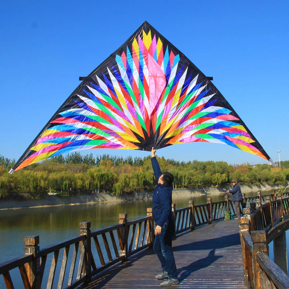 Ray kite Triangle kiteOutdoor fun Big Delta kite single line colorful triangle flying kites for audlts
