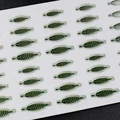 Livid green 1 sheet