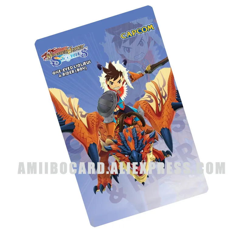 

One-Eyed Rathalos and Rider (Male) Monster Hunter Rise NFC Linkage Card for Games