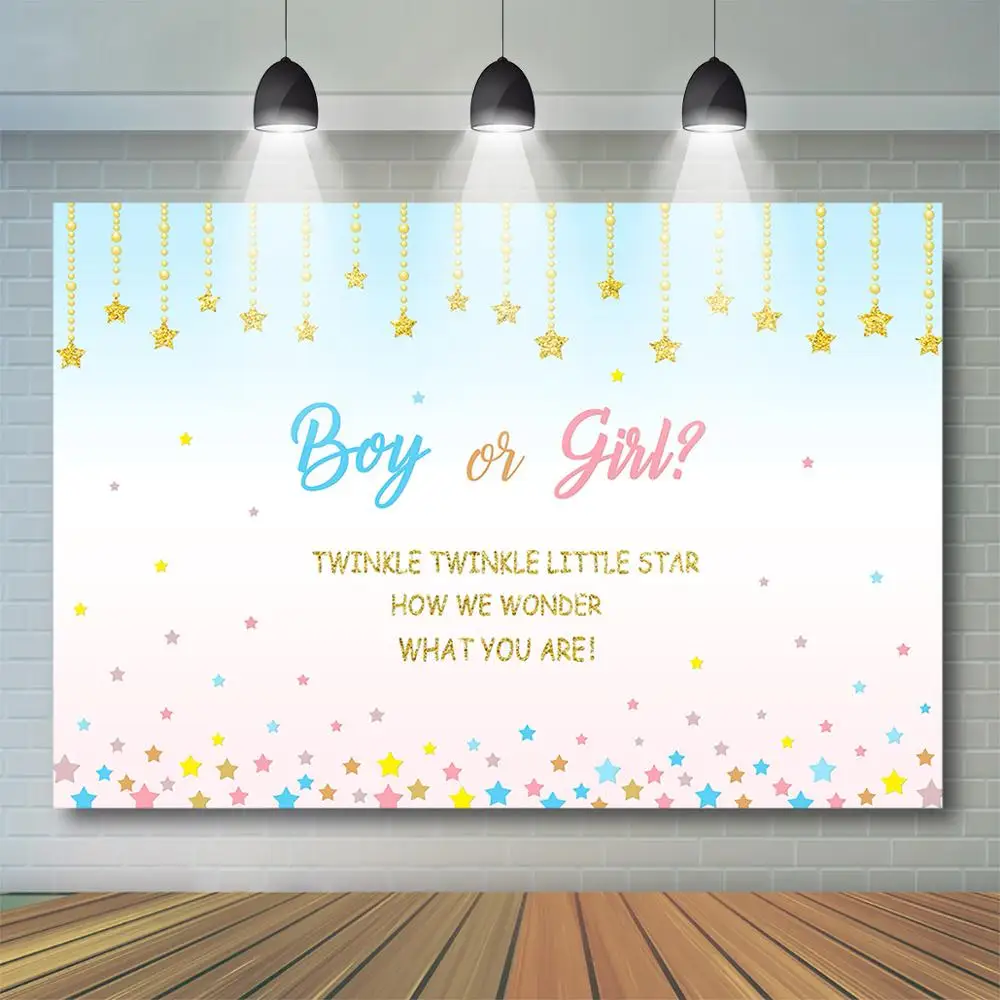 

Boy or Girl Gender Reveal Backdrop Twinkle Little Star Baby Shower Party Decoration Pink or Blue Gender Reveal Banner