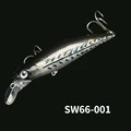 SW66-001