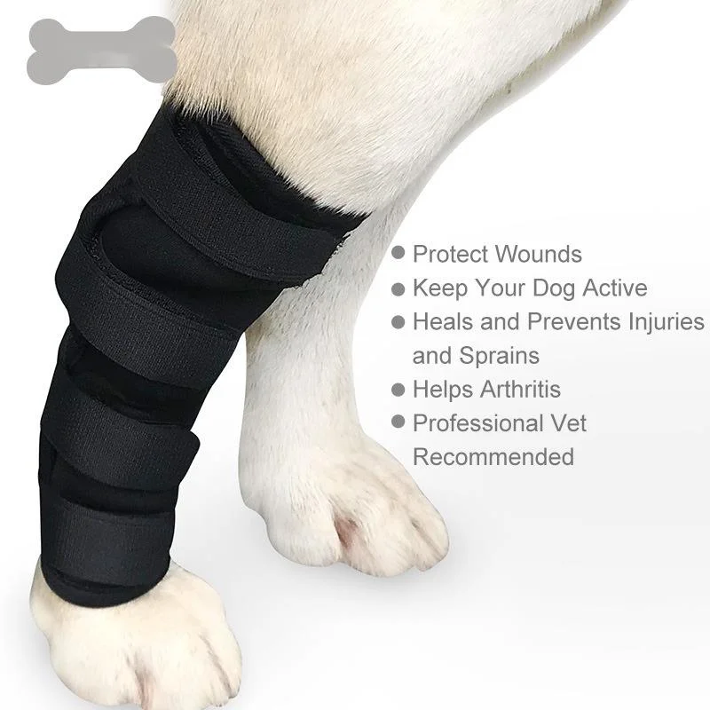 Pet Dog Bandages Dog Injurie Leg Knee Brace Strap Protection For Dogs Joint Bandage Wrap Doggy Medical Supplies Dogs Accessories