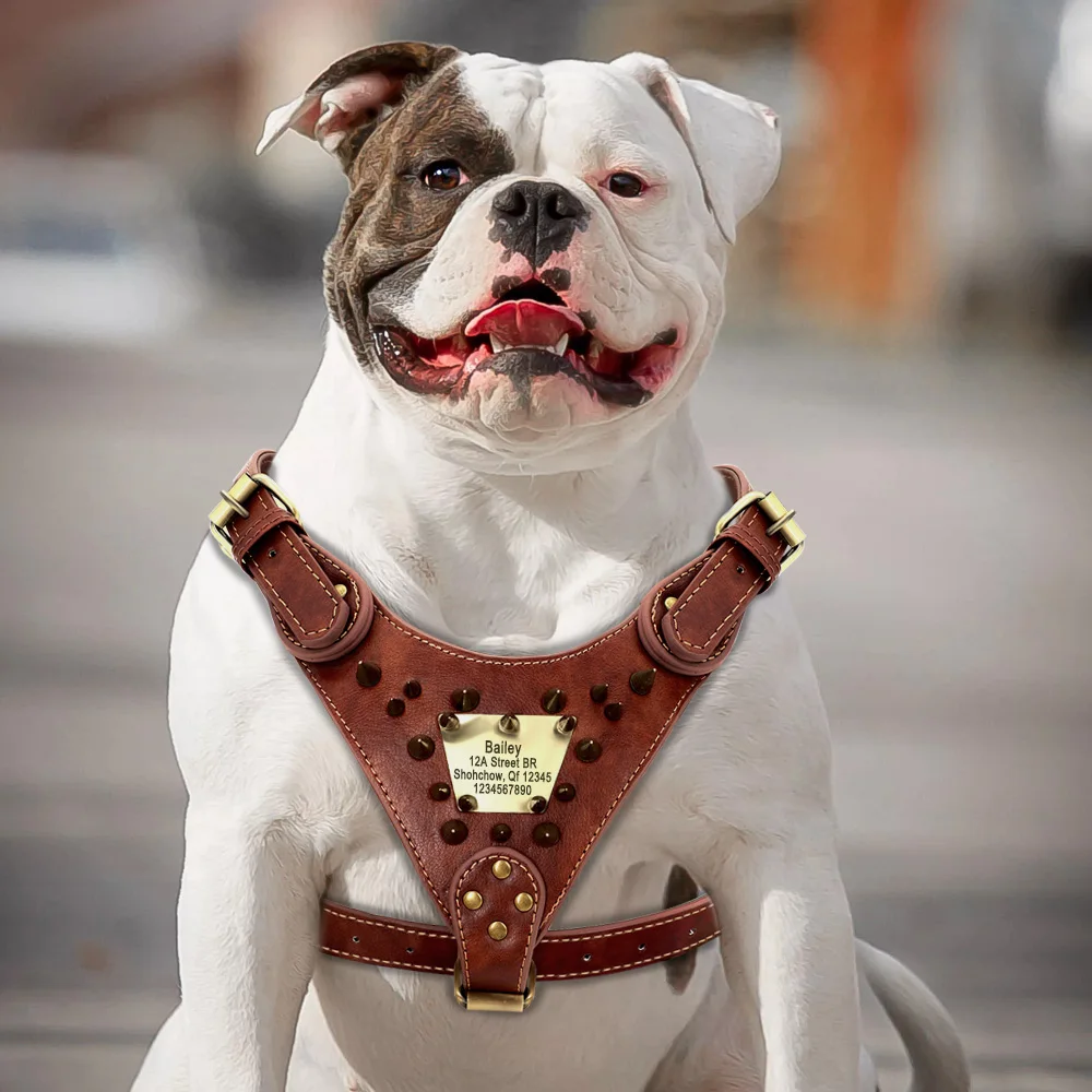 Custom Leather Dog Harness Spiked Studded Dog Harness Vest Personalized ID Leather Harness for Medium Large Dogs Pitbull Bulldog