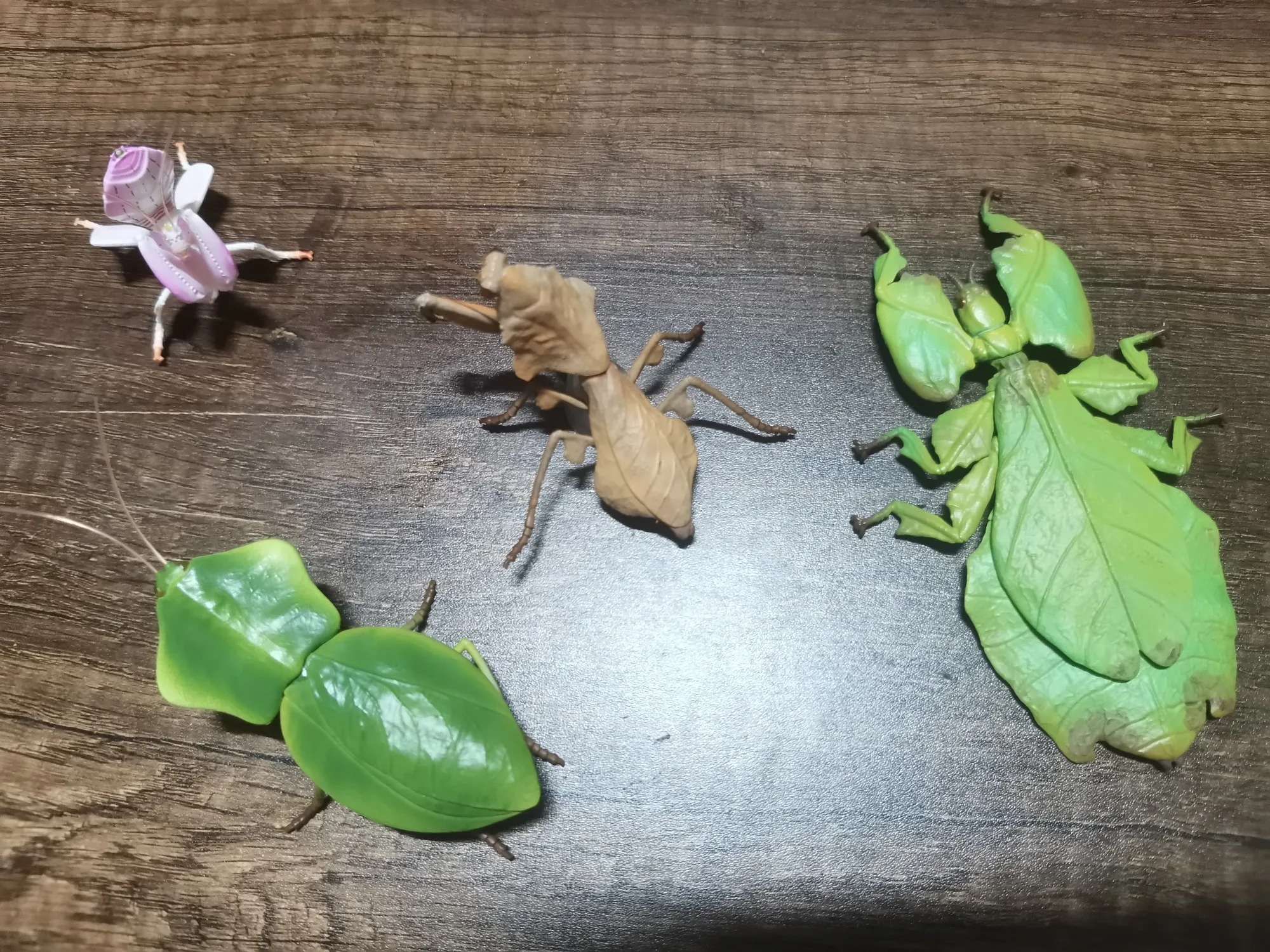 capsule toy pvc  figure model toy    mimicry biological insects model  dead leaf Mantis orchid Mantis  4pcs/set