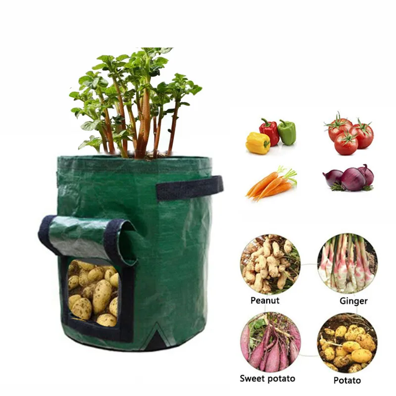 

PE Planter Bag Potato Grown Bags Wall Vertical Garden Hanging Flower Vegetable Plants Pouch Pockets Garden Supplies