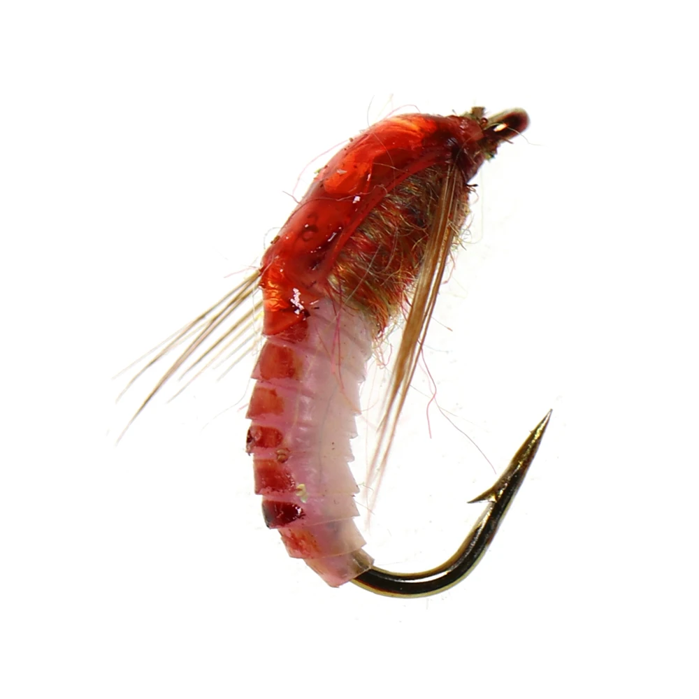 Ninfa Brownback ICERIO – Imitación realista para pesca de trucha - imagen 2