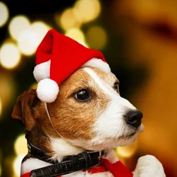 犬と猫のためのクリスマスの帽子,クリスマスの装飾,新年のパーティー用品,ペットの衣装