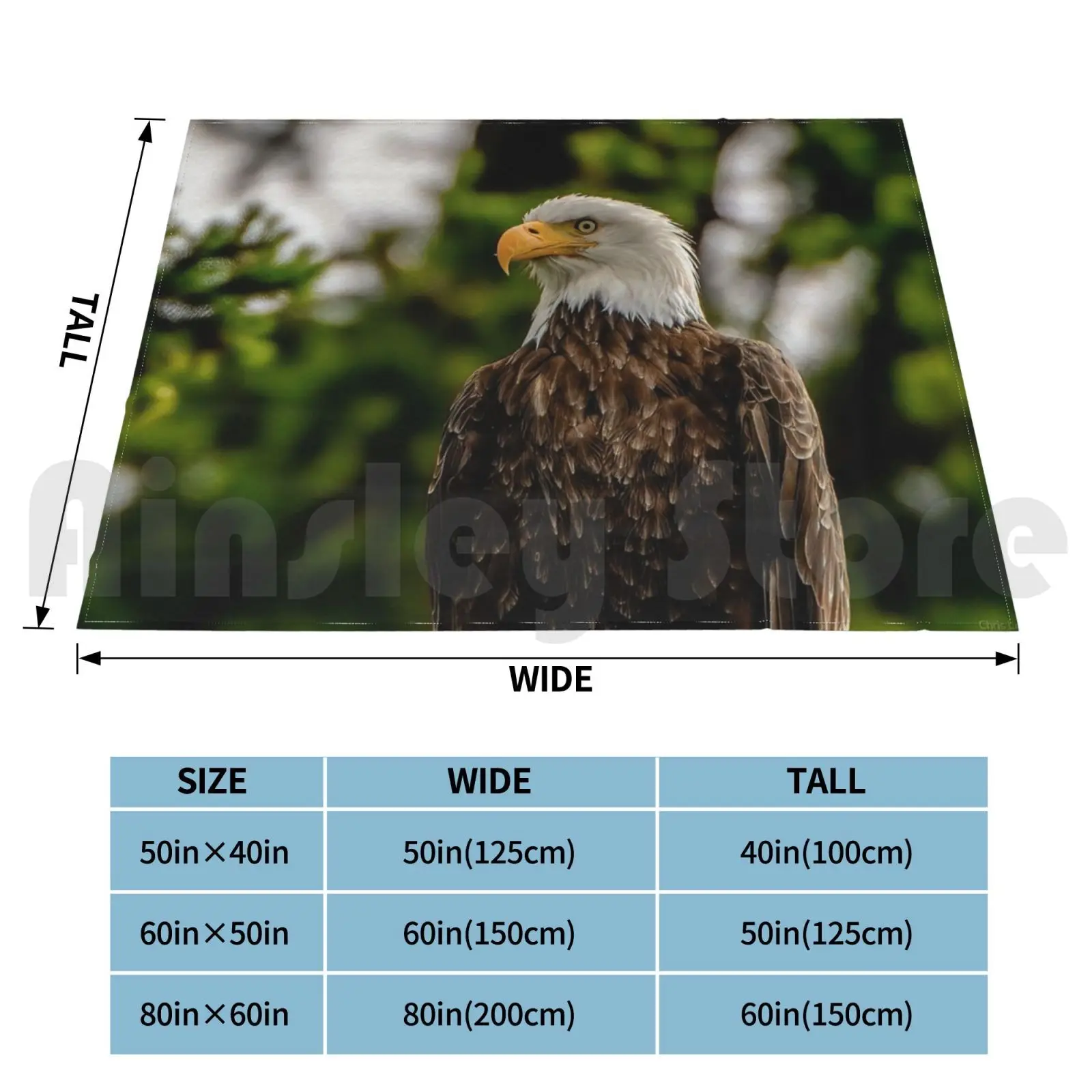 Bald Eagle Blanket For Sofa Bed Travel Eagle Bald Eagle Usa Washington Pacific Northwest Pictorial Pacific