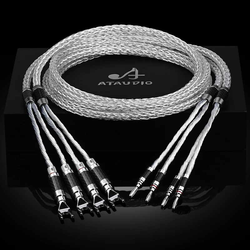 ATAUDIO HIFI 2-to-2 Banana Speaker Cable Silver 4